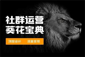 甄琦学长《赚钱社群系统运营葵花宝典》17集全